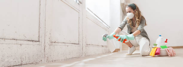 Why You Should Choose Our Mold Remediation Services in Highlands Ranch, CO